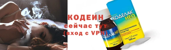 дживик Вяземский