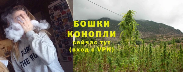 дживик Вяземский