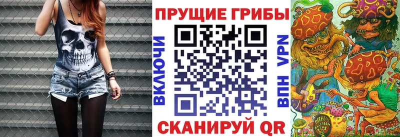 mega сайт Губкин Галлюциногенные грибы Cubensis